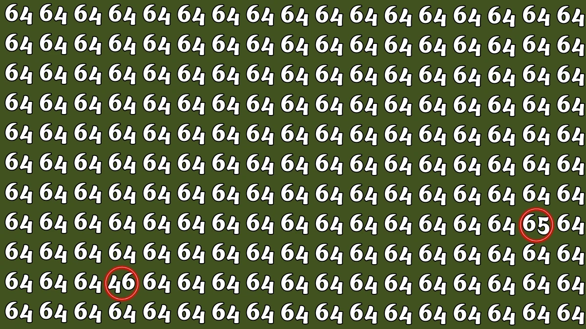 Optical Illusion: Within 6 Seconds Spot The Number 46 and 65 among 64
