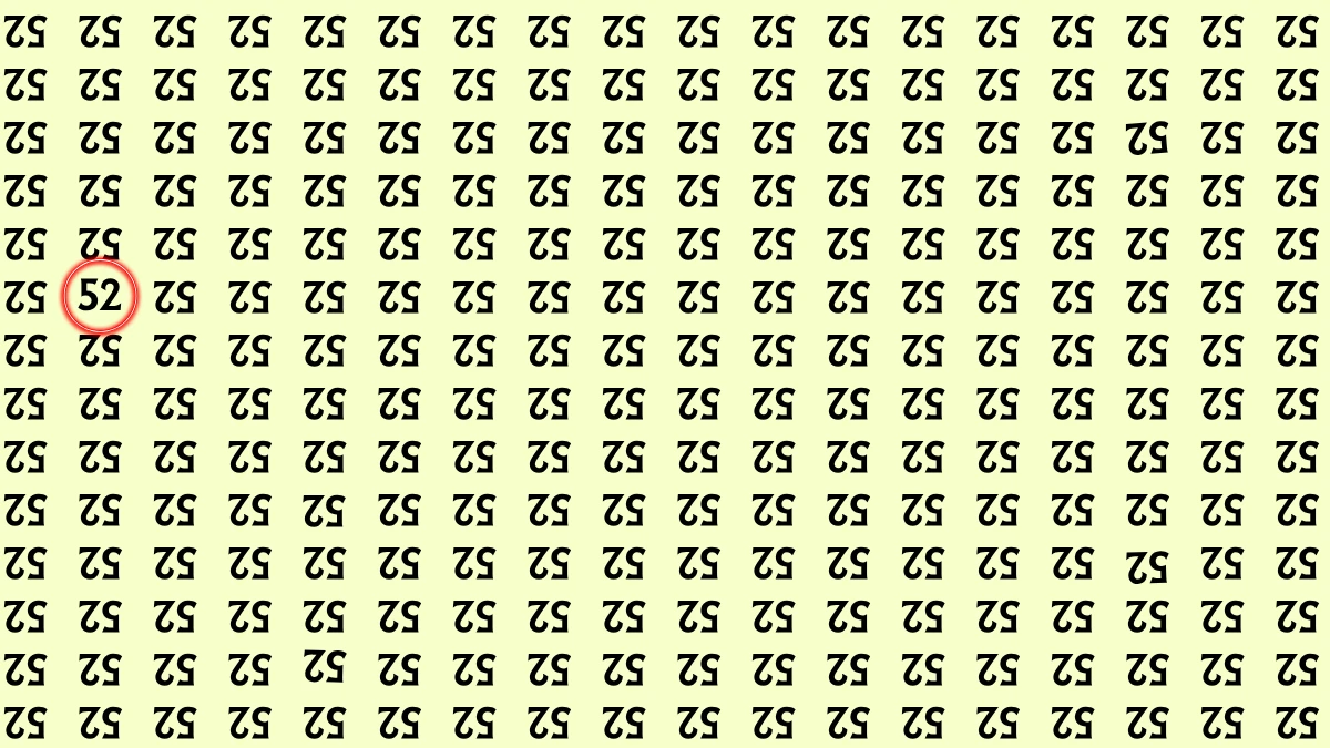 Optical Illusion: Within 6 Seconds Spot The Number 52 among Inverted 52s