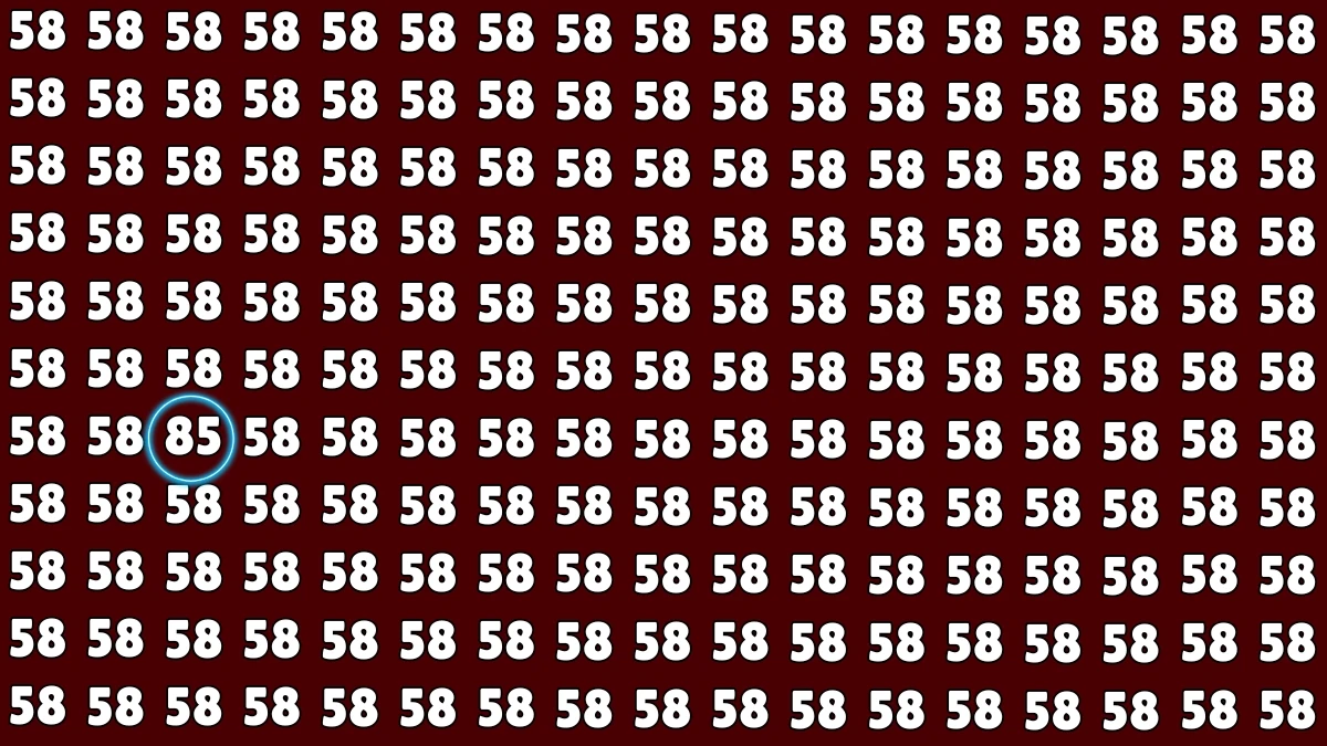 Optical Illusion: Within 6 Seconds Spot The Number 85 among 58