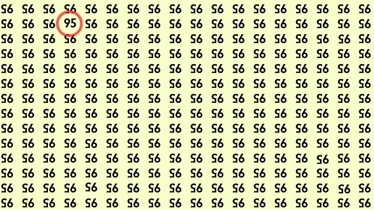 Optical Illusion: Within 6 Seconds Spot The Number 95 among Inverted 95s