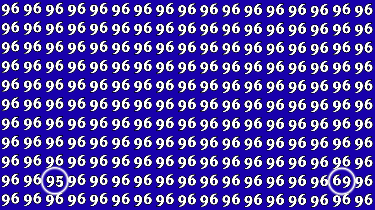 Optical Illusion: Within 6 Seconds Spot The Number 95 and 69 among 96
