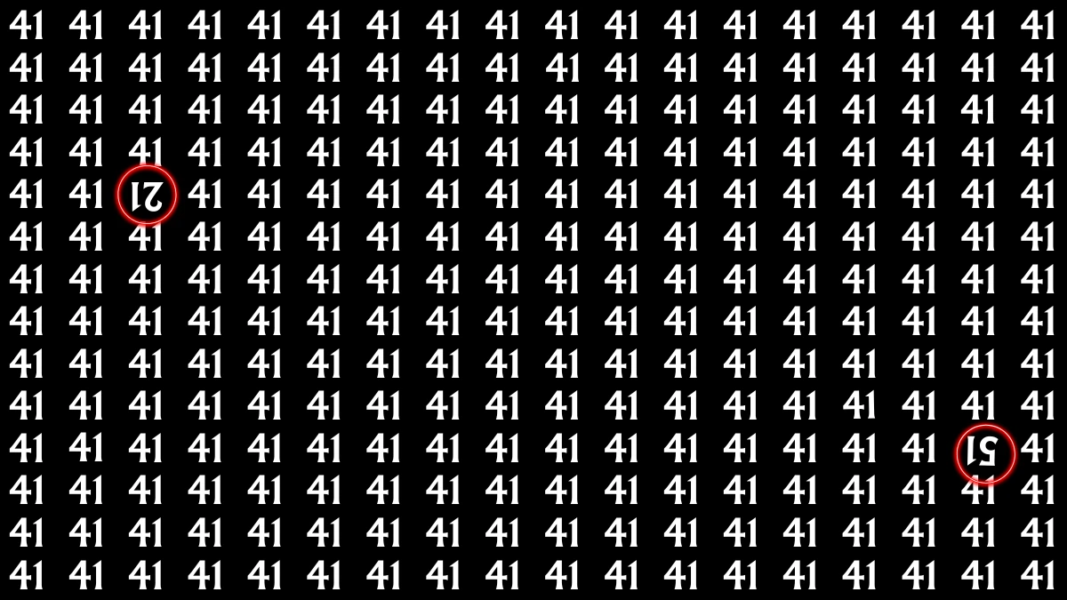 Optical Illusion: Within 7 Seconds Spot The Inverted 21 and 51 among 41