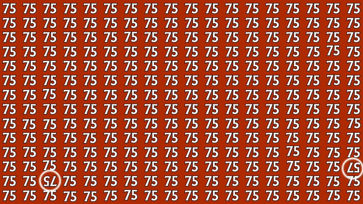 Optical Illusion: Within 7 Seconds Spot The Inverted 57 and 75 among 75s