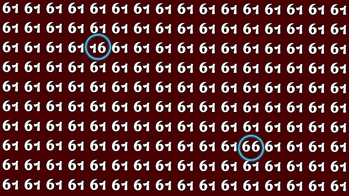 Optical Illusion: Within 7 Seconds Spot The Number 16 and 66 among 61