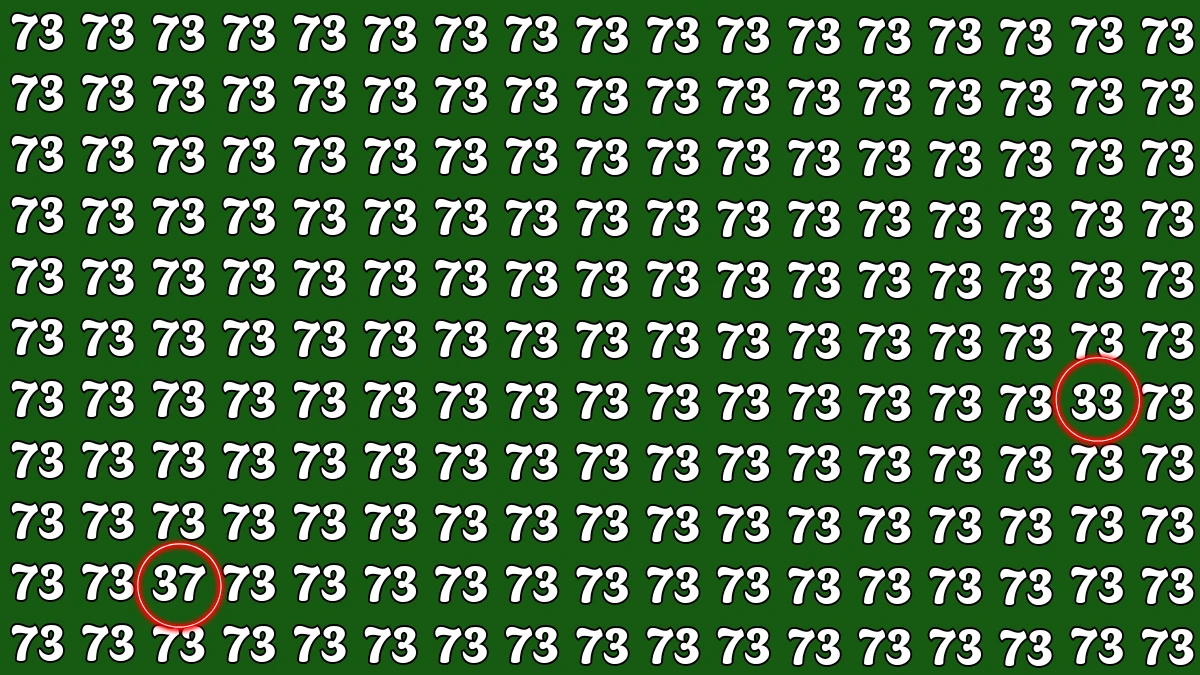 Optical Illusion: Within 7 Seconds Spot The Number 33 and 37 among 73