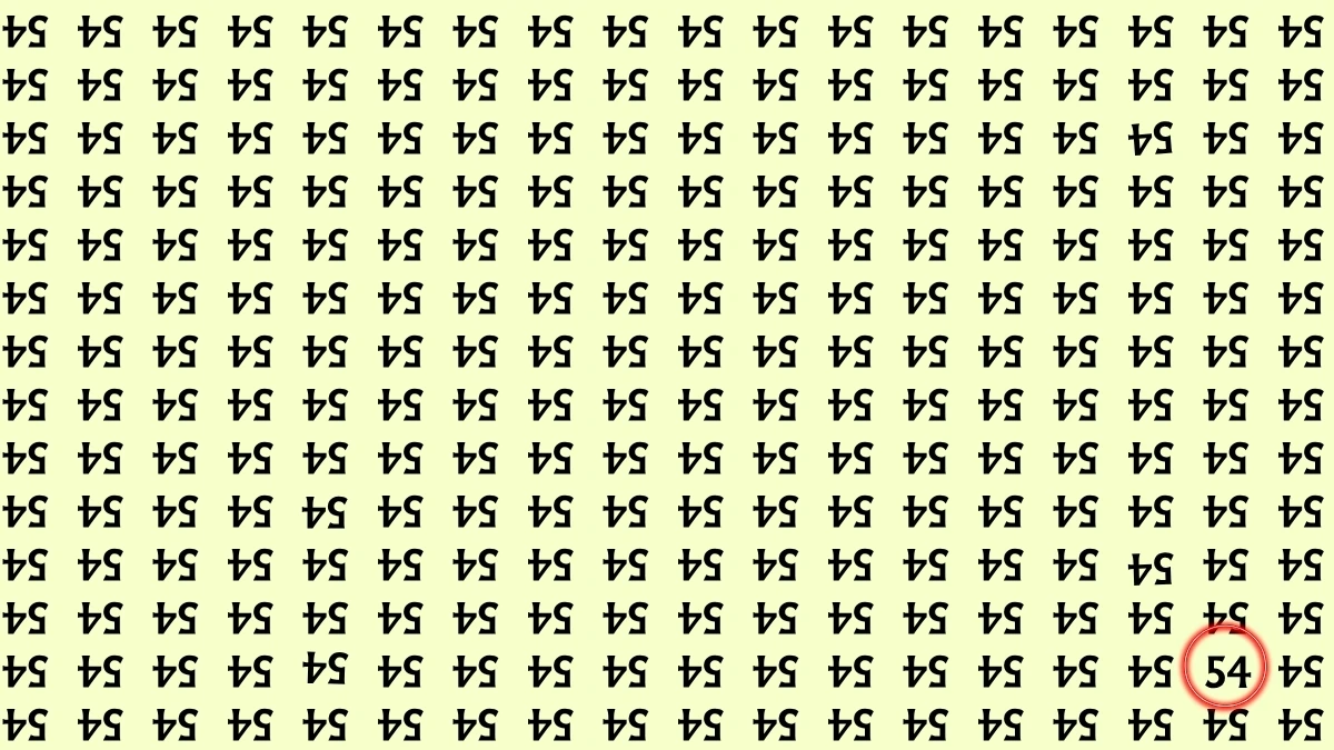 Optical Illusion: Within 7 Seconds Spot The Number 54 among Inverted 54s