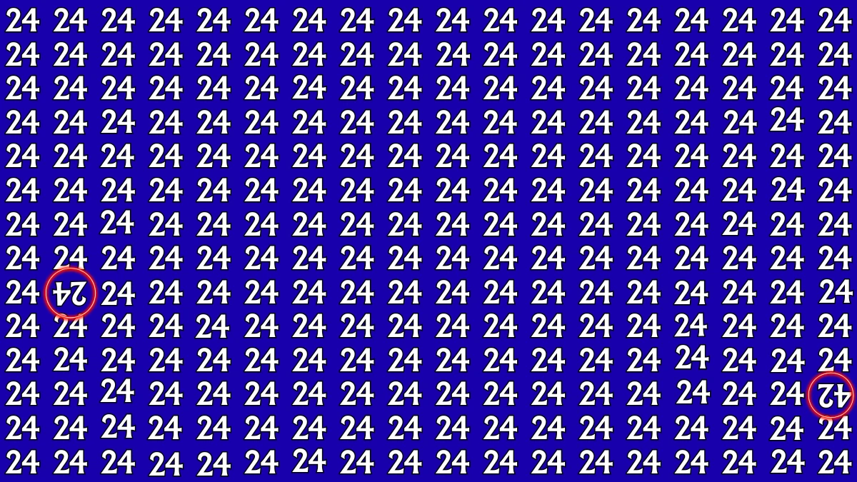 Optical Illusion: Within 8 Seconds Spot The Inverted 24 and 42 among 24s