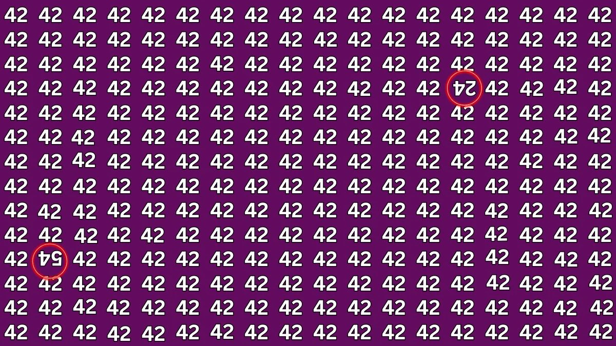 Optical Illusion: Within 8 Seconds Spot The Inverted 24 and 54 among 42s