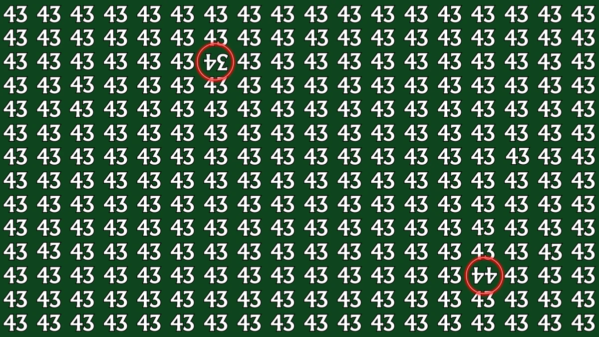 Optical Illusion: Within 8 Seconds Spot The Inverted 34 and 44 among 43