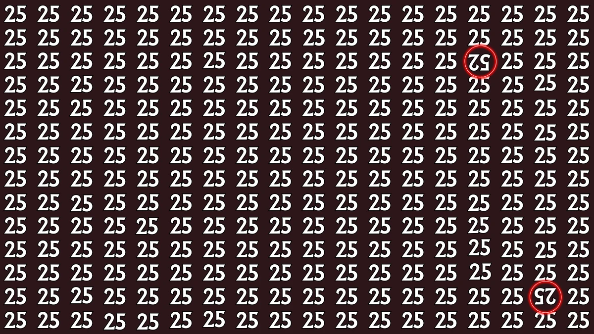Optical Illusion: Within 8 Seconds Spot The Inverted 52 and 25 among 25s