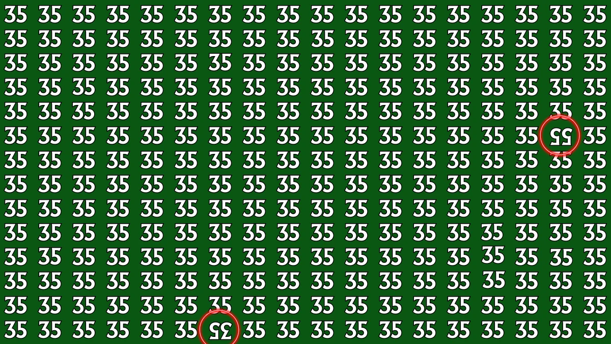 Optical Illusion: Within 8 Seconds Spot The Inverted 55 and 35 among 35s
