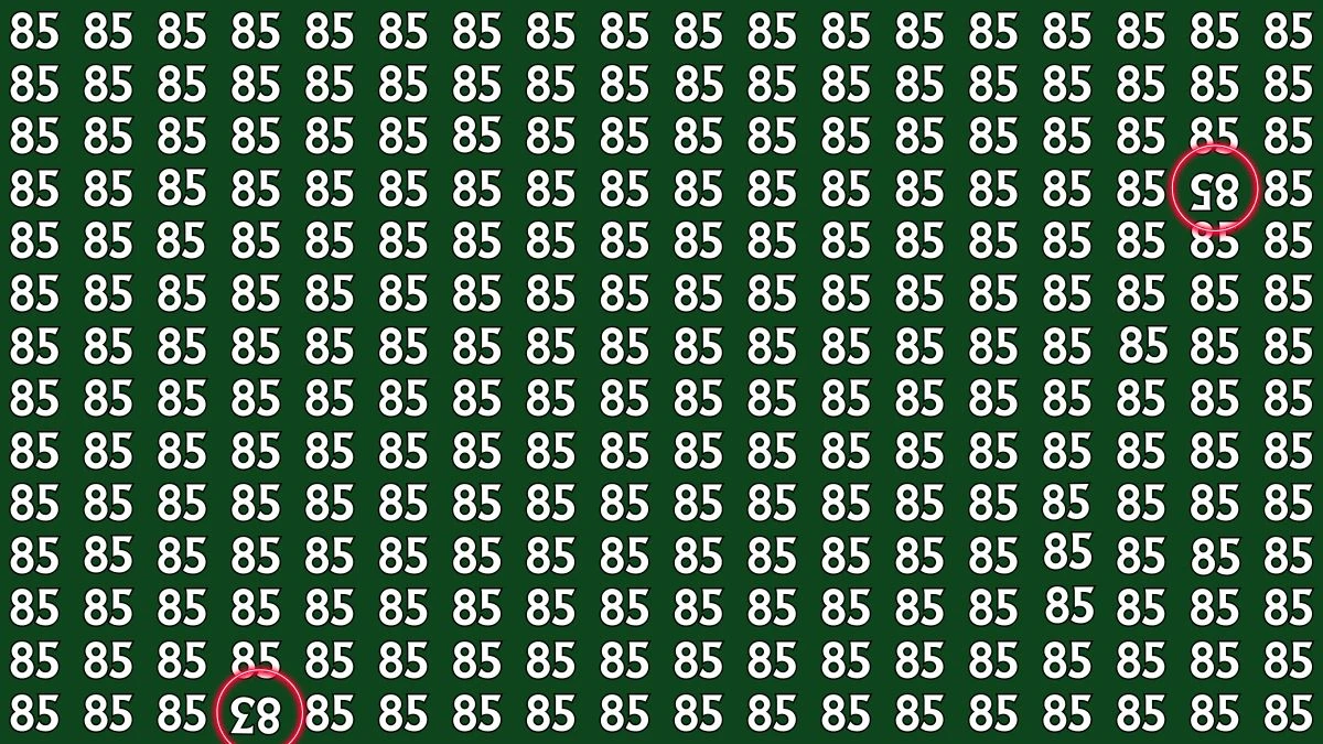 Optical Illusion: Within 8 Seconds Spot The Inverted 83 and 85 among 85s