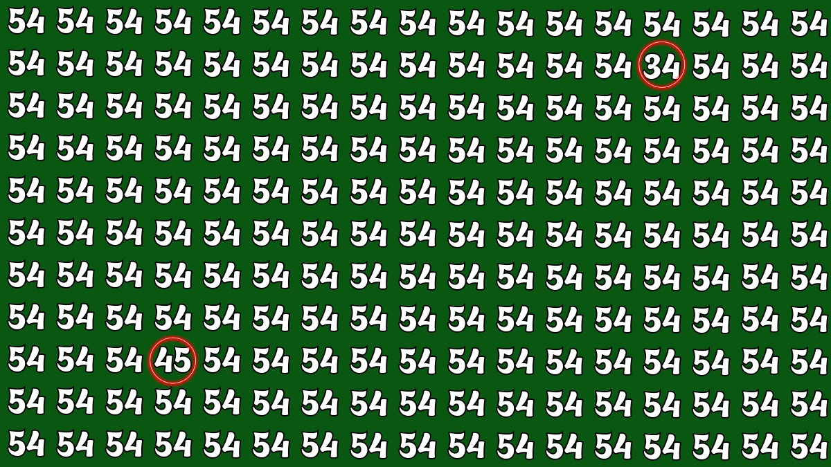 Optical Illusion: Within 8 Seconds Spot The Number 45 and 34 among 54
