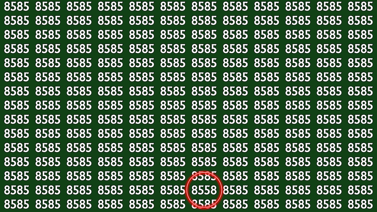 Optical Illusion: Within 8 Seconds Spot The Number 8558 among 8585