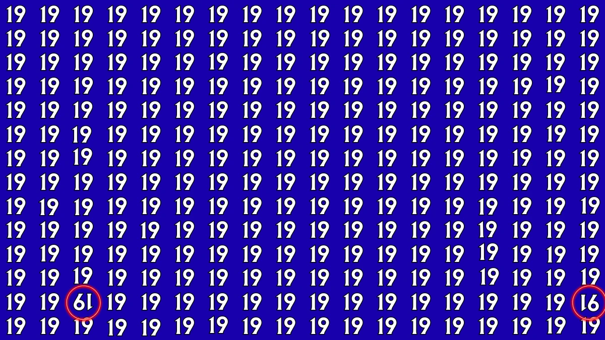 Optical Illusion: Within 9 Seconds Spot The Inverted 19 and 91 among 19s