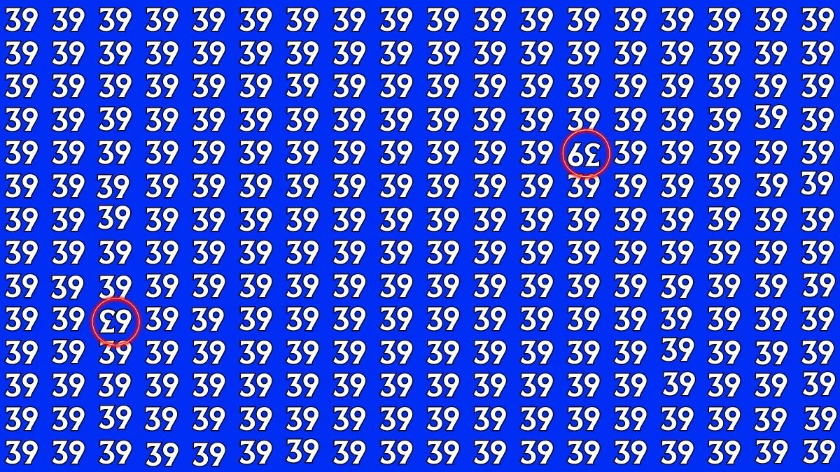 Optical Illusion: Within 9 Seconds Spot The Inverted 39 and 63 among 39s