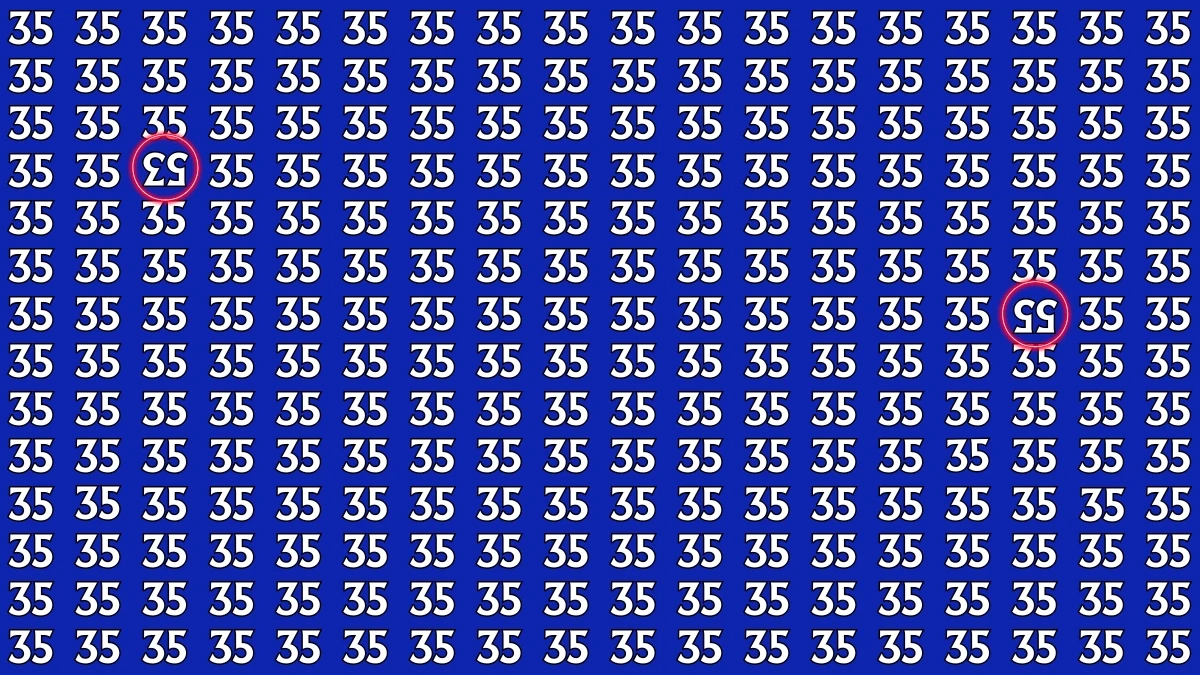 Optical Illusion: Within 9 Seconds Spot The Inverted 55 and 53 among 35