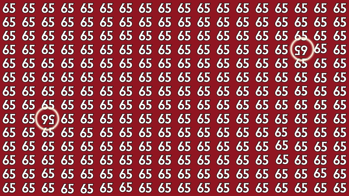 Optical Illusion: Within 9 Seconds Spot The Inverted 56 and 65 among 65s