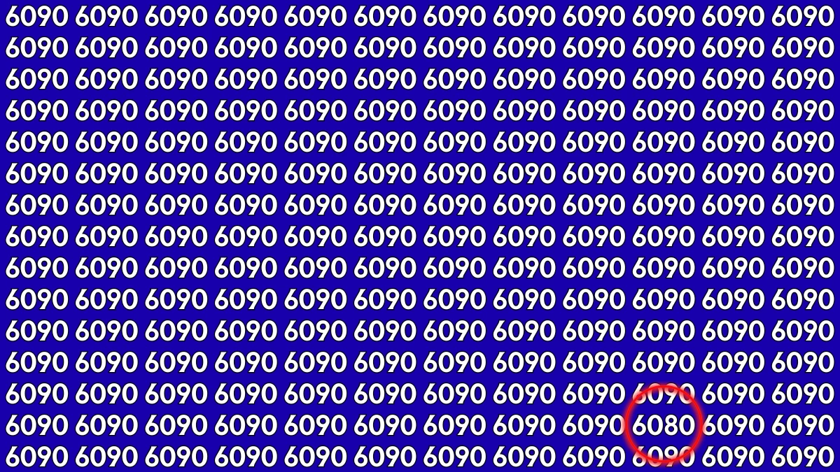 Optical Illusion: Within 9 Seconds Spot The Number 6080 among 6090