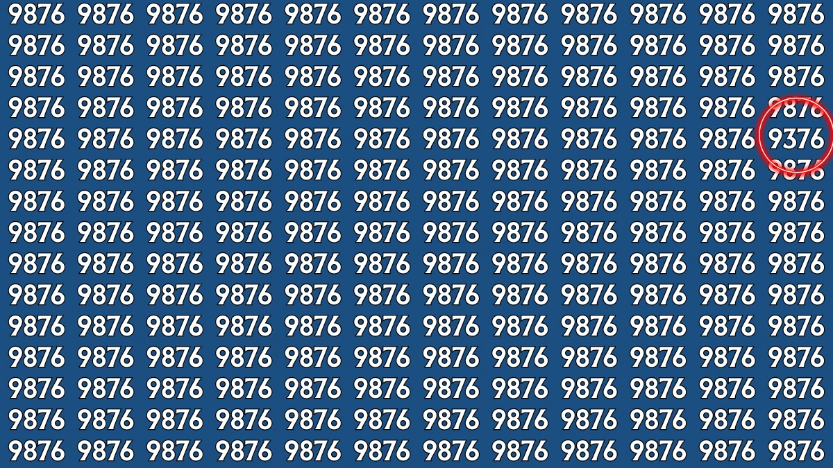 Optical Illusion: Within 9 Seconds Spot The Number 9376 among 9876