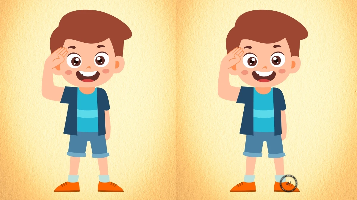 Puzzle IQ Test: Can You Tell What Separates These Twin Pics?