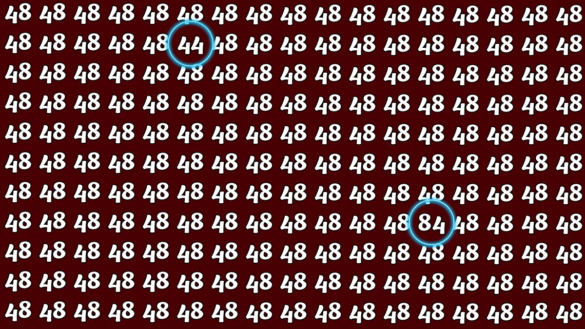 Optical Illusion: Within 8 Seconds Spot The Number 44 and 84 among 48