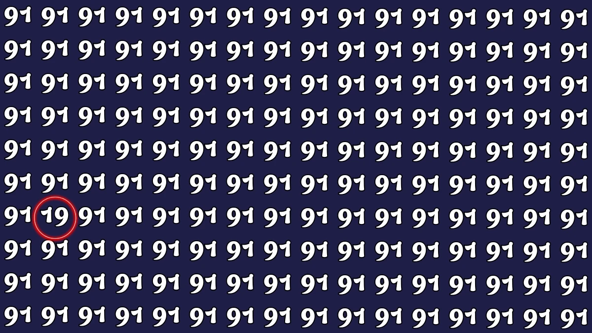 Observation Find it Out: Within 5 Seconds Spot The Number 19 among 91