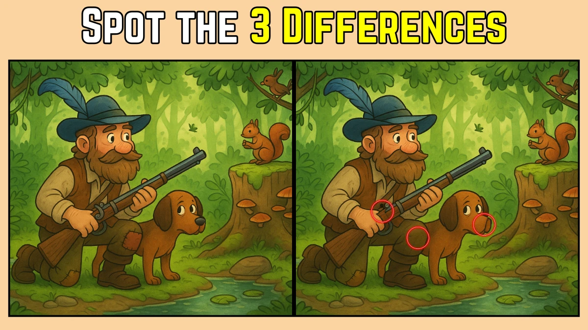 Spot the Difference: Within 9 Seconds Spot The 3 Differences in this Hunter Image