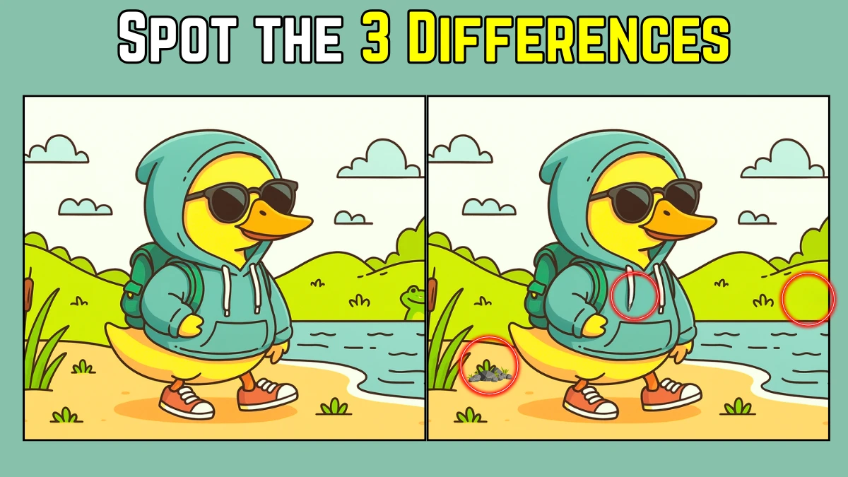Only the sharpest eyes can spot 3 differences in the Duck Wearing Jacket Image in 8 Secs