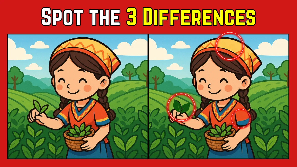 Spot the Difference: Within 9 Seconds Spot The 3 Differences in this Girl Planting Image