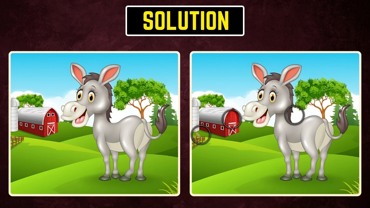 Brain Teaser: Within 7 Seconds Spot the 3 Differences in the Donkey Pictures