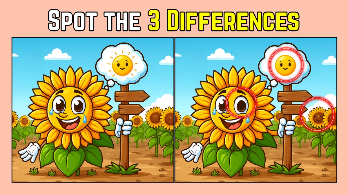 Spot the Difference: Within 6 Seconds Spot The 3 Differences in this Sunflower Image