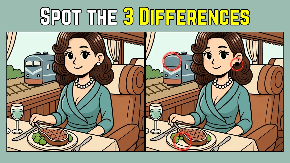 Spot the Difference: Within 6 Seconds Spot The 3 Differences in this Woman Eating Lunch on a Train Image