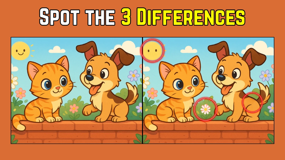 Spot the Difference: Within 7 Seconds Spot The 3 Differences in this Cat and Dog Image