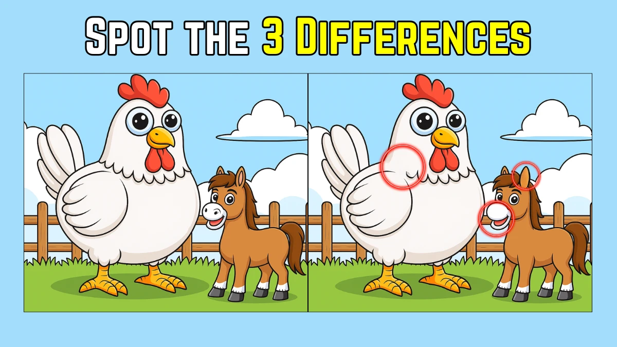 Spot the Difference: Within 7 Seconds Spot The 3 Differences in this Hen and Horse Image