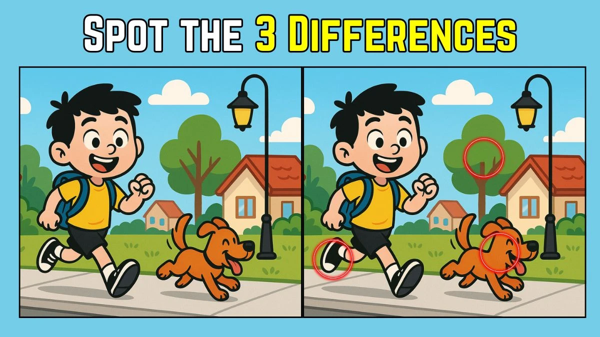 Spot the Difference: Within 8 Seconds Spot The 3 Differences in this School Boy Image