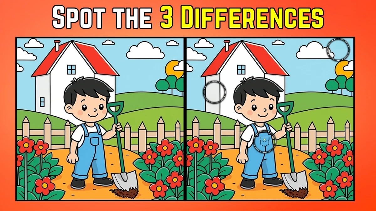 Spot the Difference: Within 9 Seconds Spot The 3 Differences in this Boy Doing Gardening Image