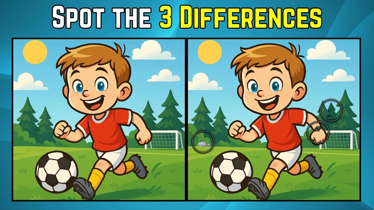Spot the Difference: Within 9 Seconds Spot The 3 Differences in this Boy Image