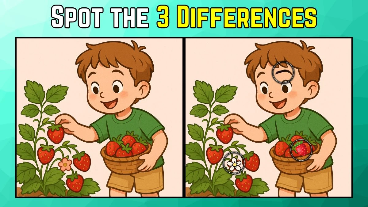 Spot the Difference: Within 9 Seconds Spot The 3 Differences in this Boy Image