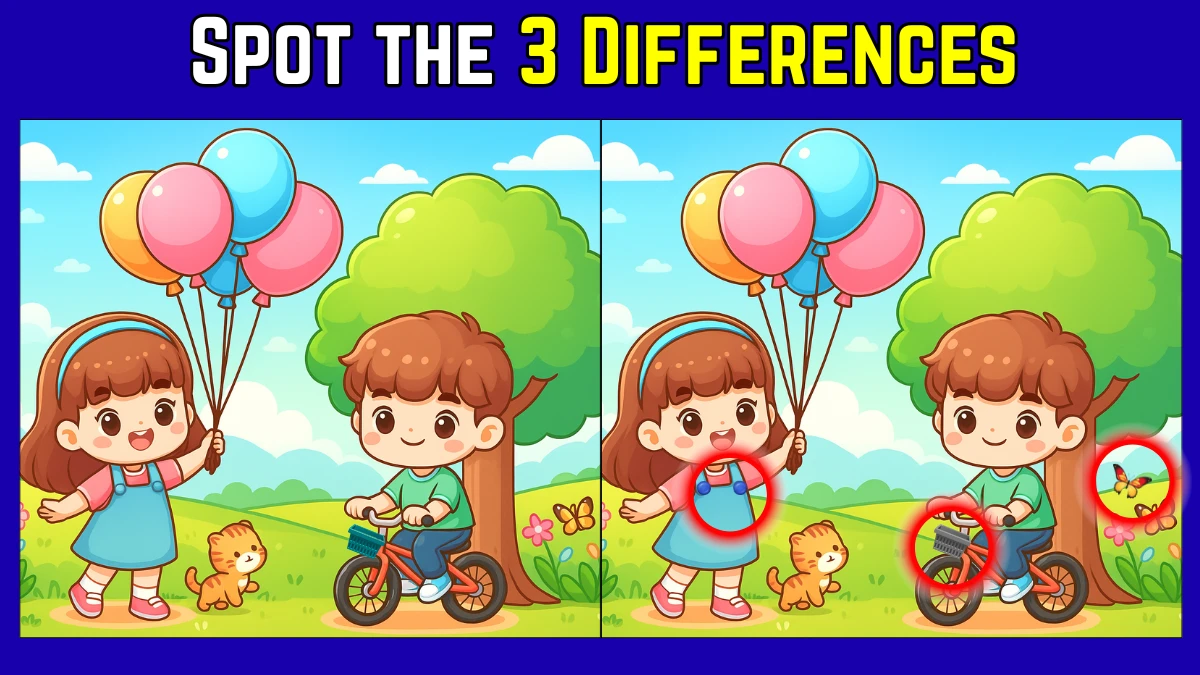 Spot the Difference: Within 9 Seconds Spot The 3 Differences in this Brother and Sister Image