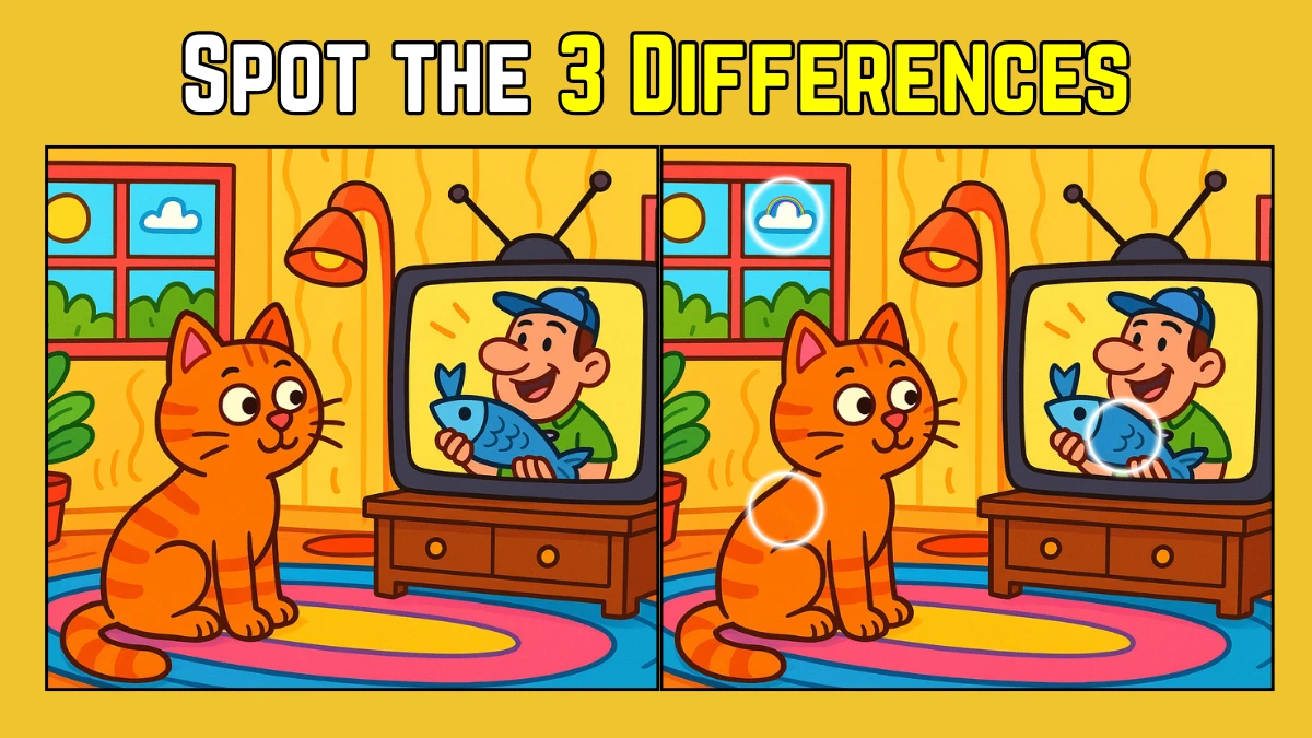 Spot the Difference: Within 9 Seconds Spot The 3 Differences in this Cat Watching TV Image