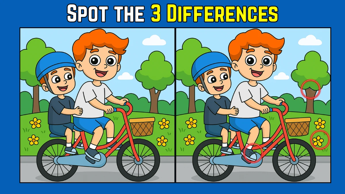 Spot the Difference: Within 9 Seconds Spot The 3 Differences in this Dad and Son Image