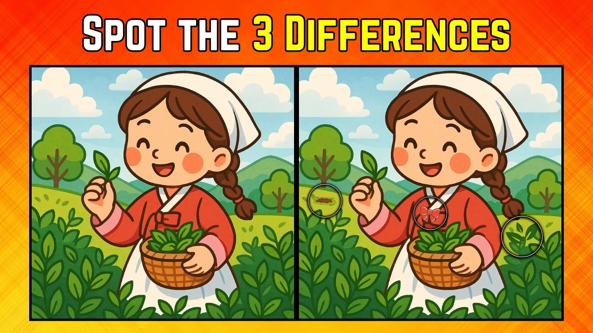 Spot the Difference: Within 9 Seconds Spot The 3 Differences in this Girl Image