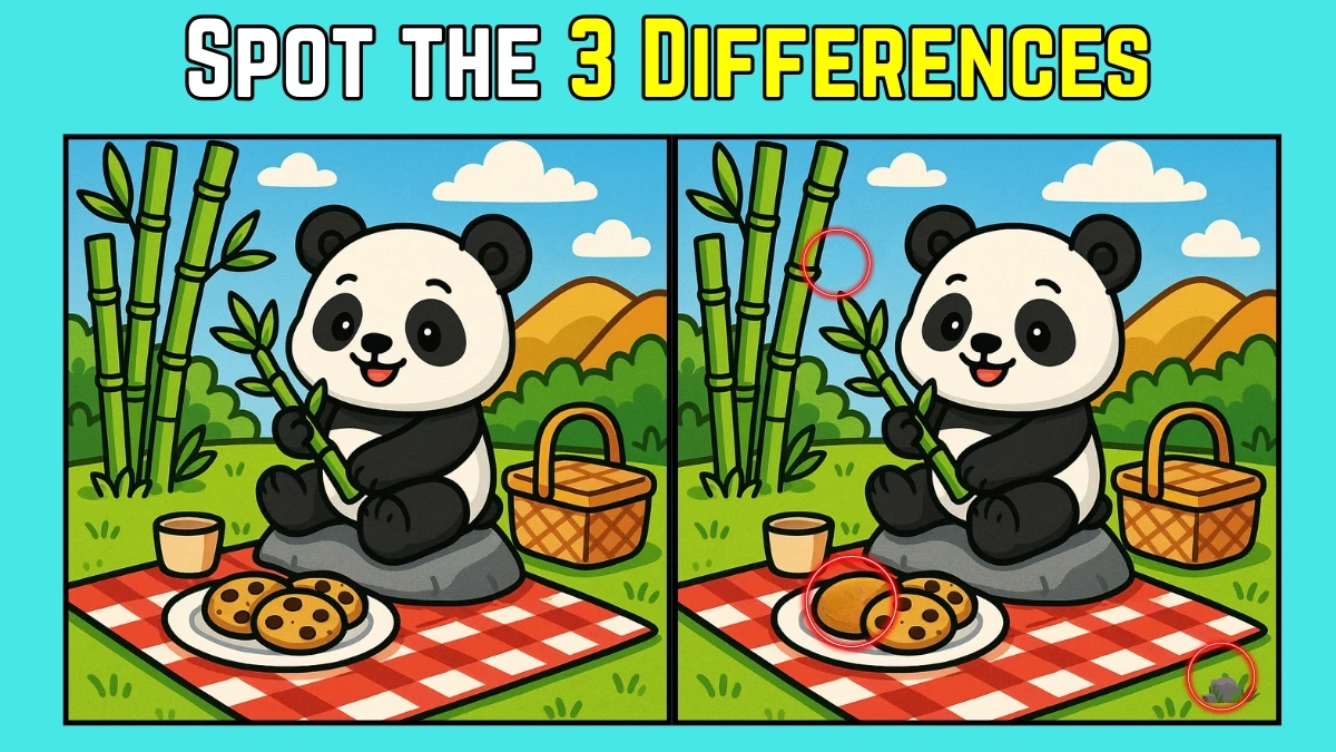 Spot 3 Differences in Panda Picnic - Can You Find Them in 9 Seconds