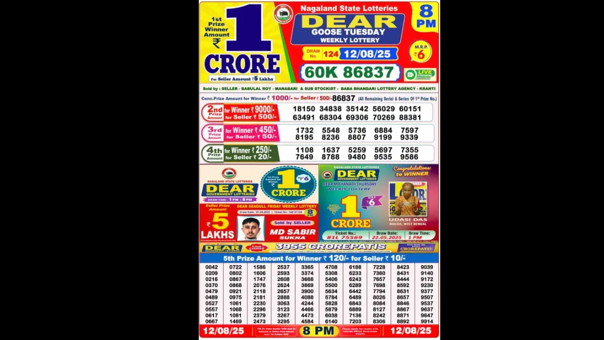 Nagaland Dear Lottery Sambad Result Today 12/08/2025 8 PM OUT: Check all Dear Comet Tuesday Winning Numbers Here