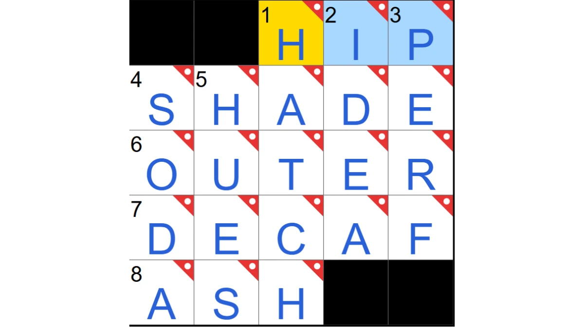 Something a beach umbrella provides NYT Crossword Clue