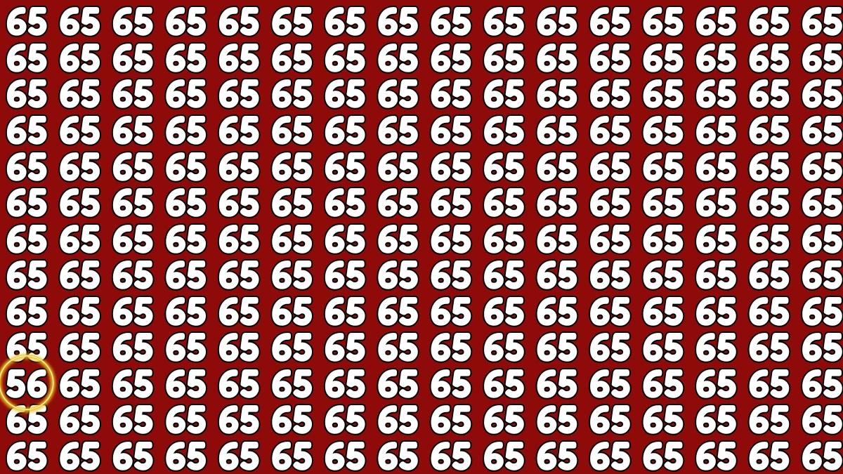 Observation Find It Out: Within 6 Seconds Spot The Number 56 among 65