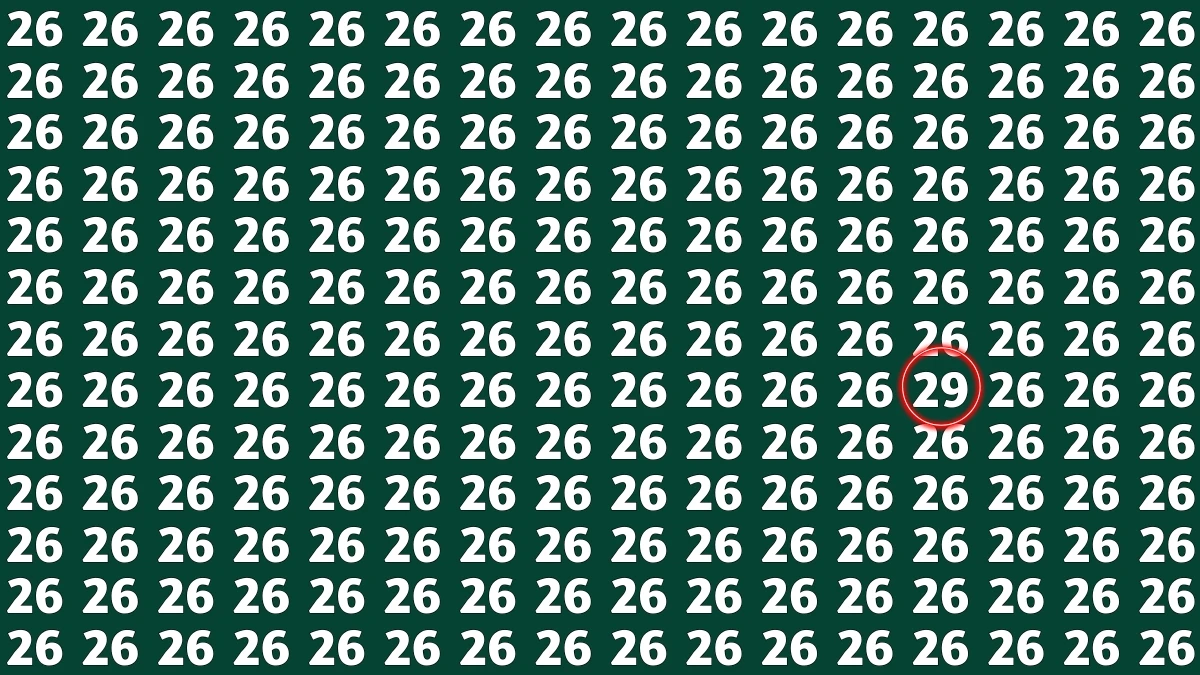 Observation Find It Out: Within 7 Seconds Spot The Number 29 among 26s