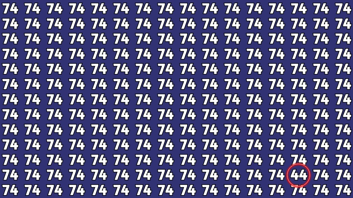 Observation Find It Out: Within 7 Seconds Spot The Number 44 among 74s