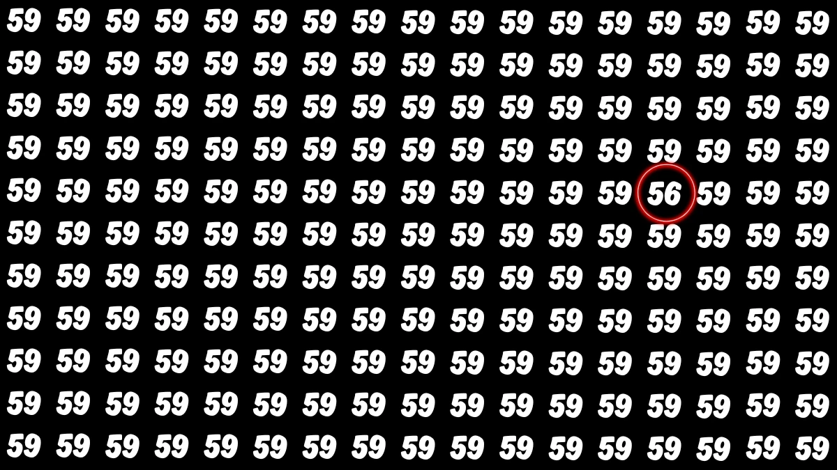 Observation Find It Out: Within 7 Seconds Spot The Number 56 among 59s